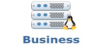 Business Linux Server